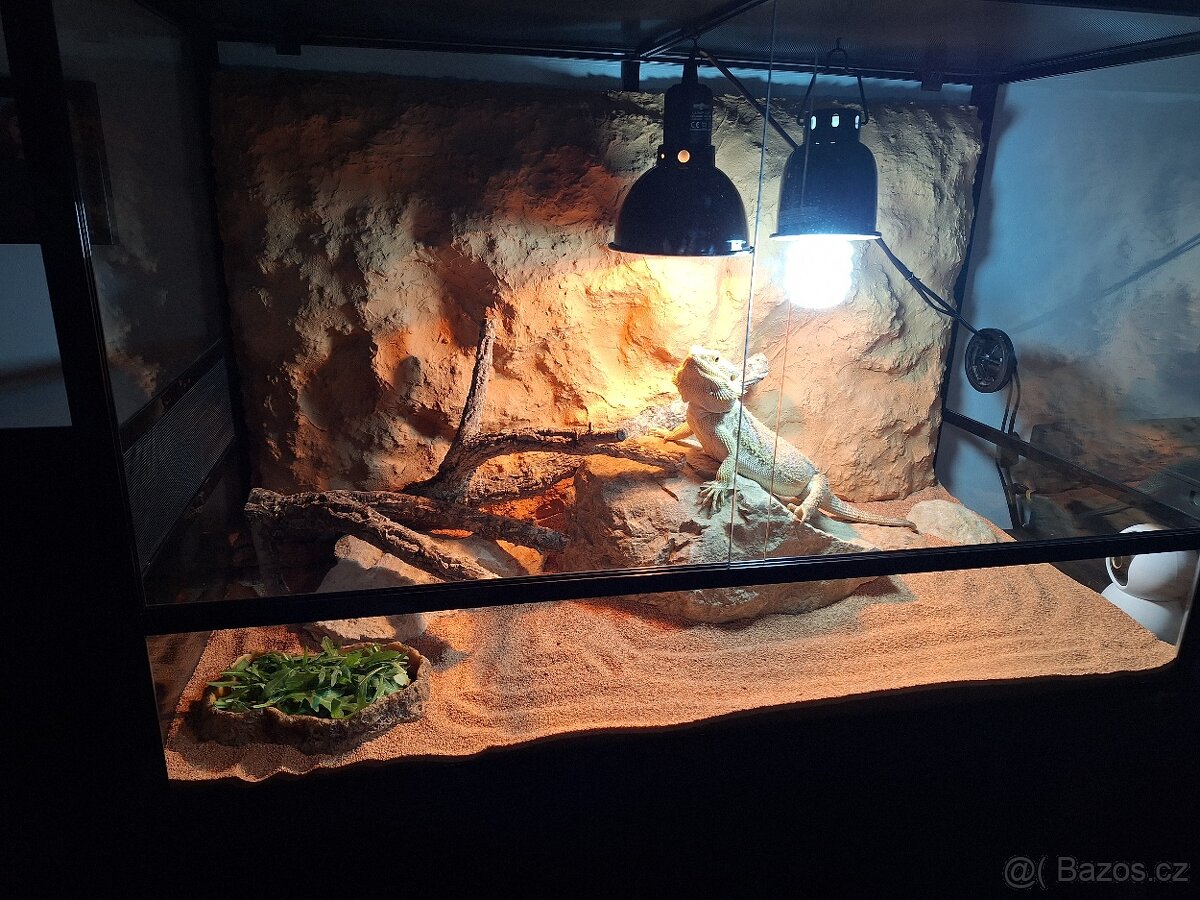 Terarium ReptiPlanet 90x45x60