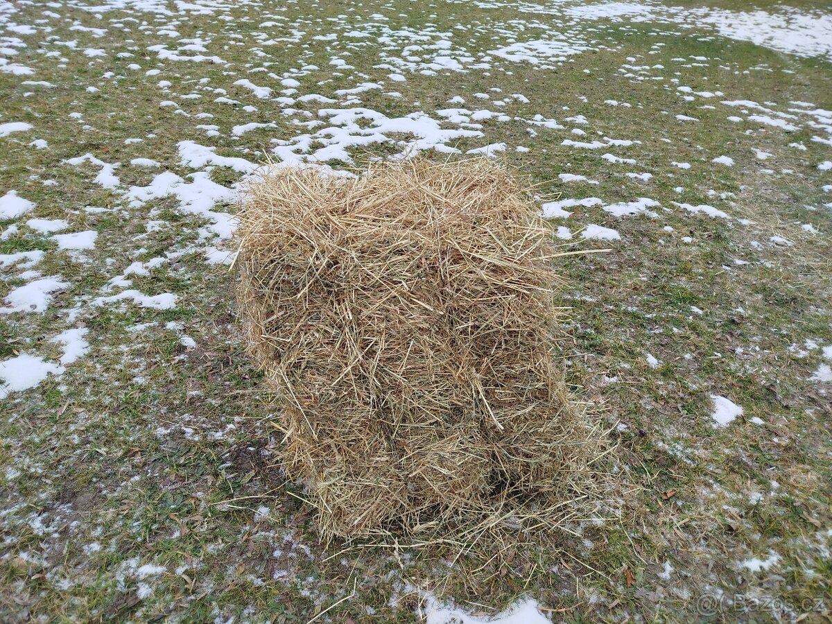 Seno - hranaté balíky