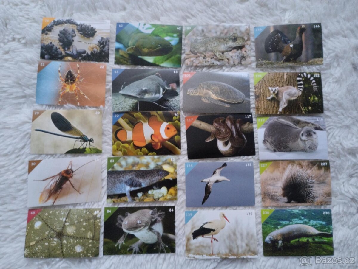 Animal kingdom samolepky