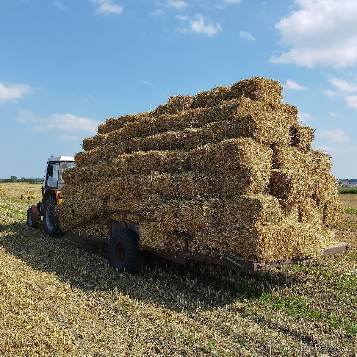 Prodám malé hranaté balíky pšeničné slamy