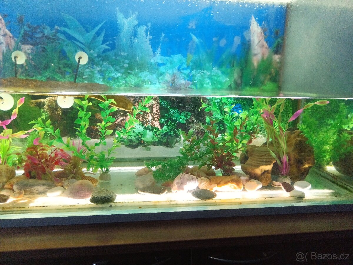 Akvárium 100x40cm
