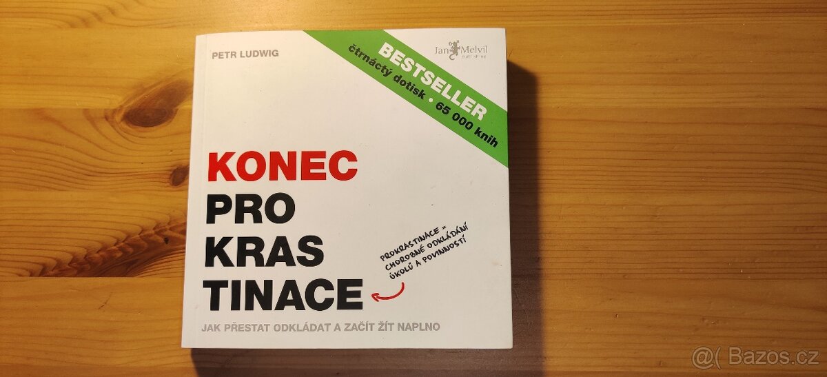 Konec prokrastinace - Petr Ludvig