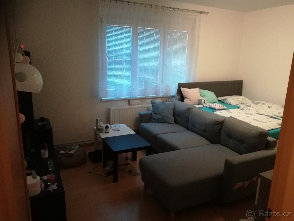 Pronájem pokoje v bytě 2+1