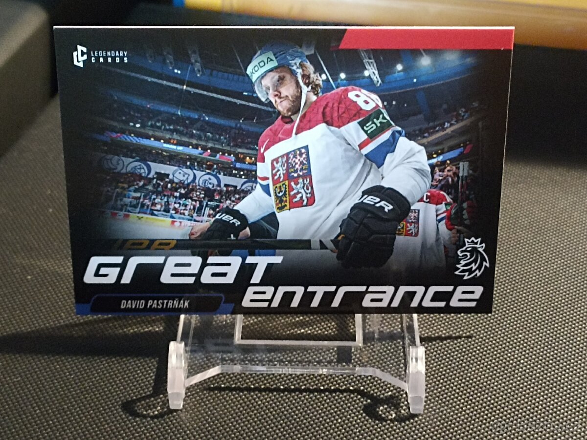 David Pastrňák 2 REPREZENTACE