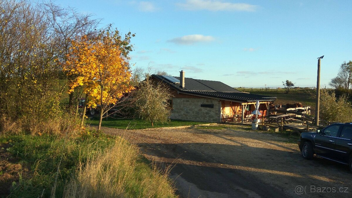 ustájení koní 24/7