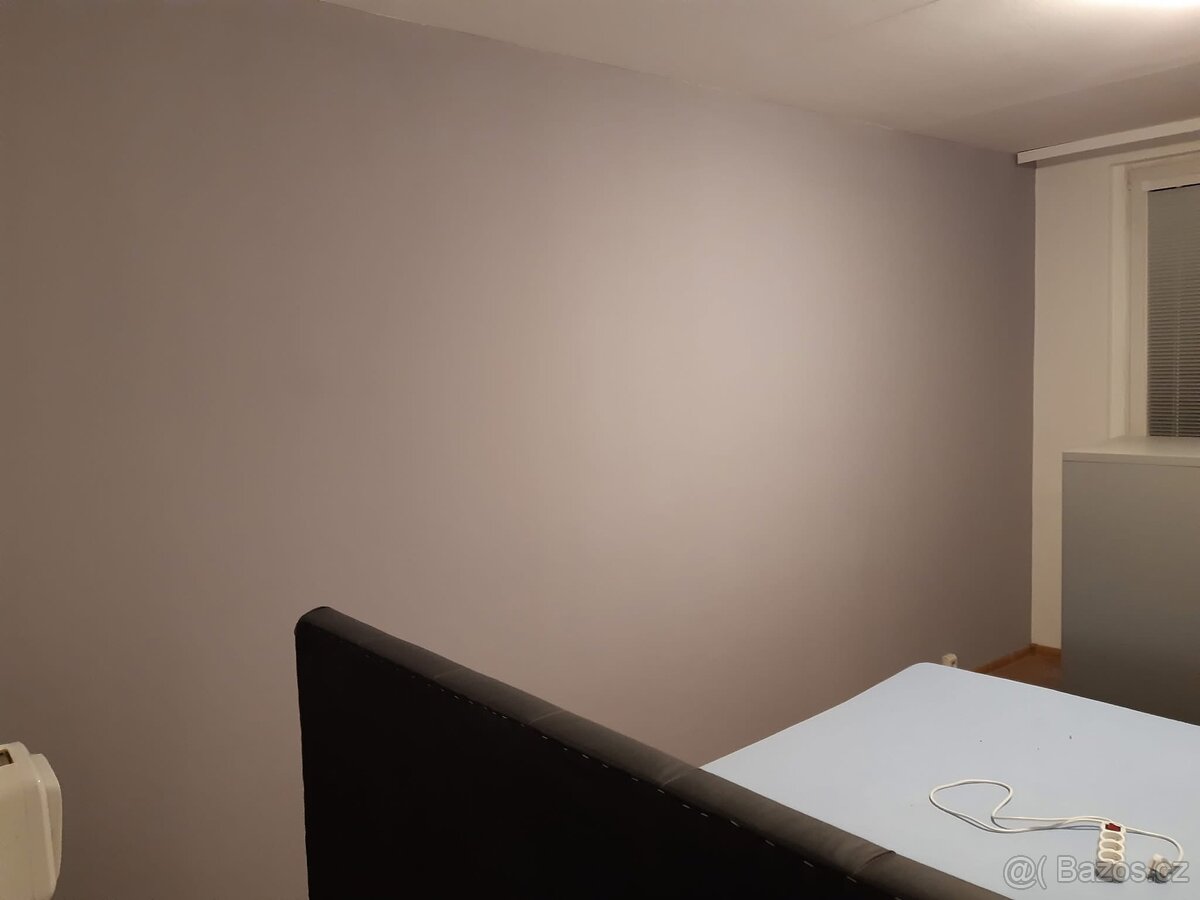 Malířské a jiné řemeslné práce Praha a okolí