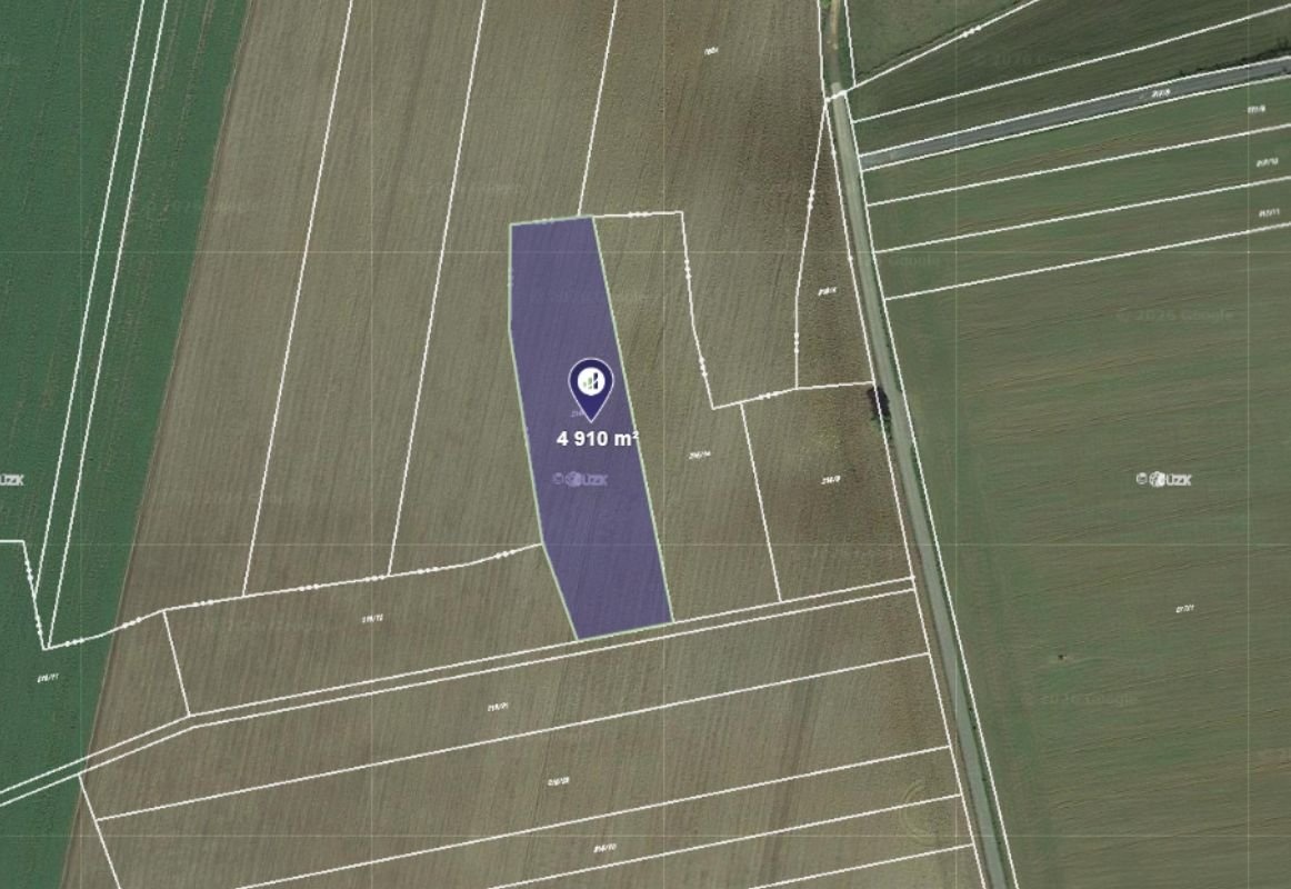 Prodej podílu 1/2 pole 2 455 m², Břežany