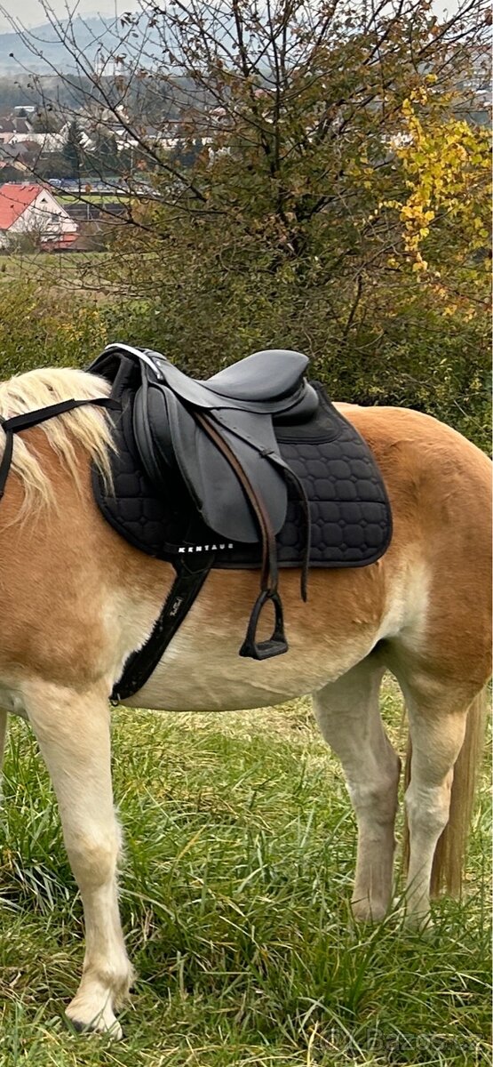 Všestranné skokové sedlo univerzál