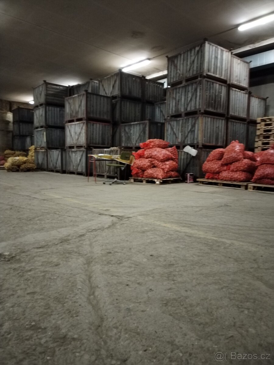 Prodej Brambor ZD Partutovice