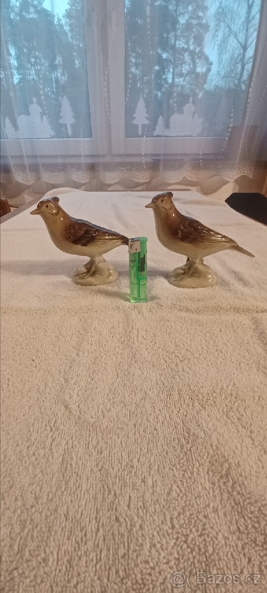 Porcelánový chocholoušek obecný