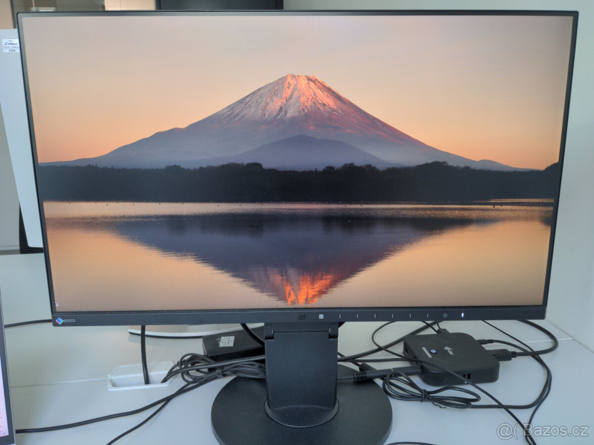 EIZO EV2450