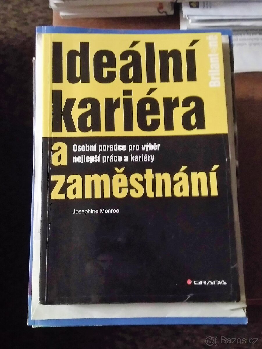 Ideální kariéra a zaměstnání