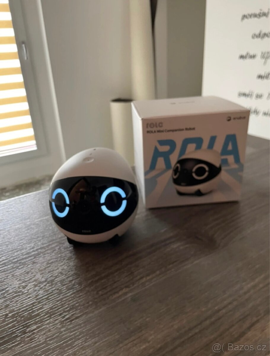Rola Robot