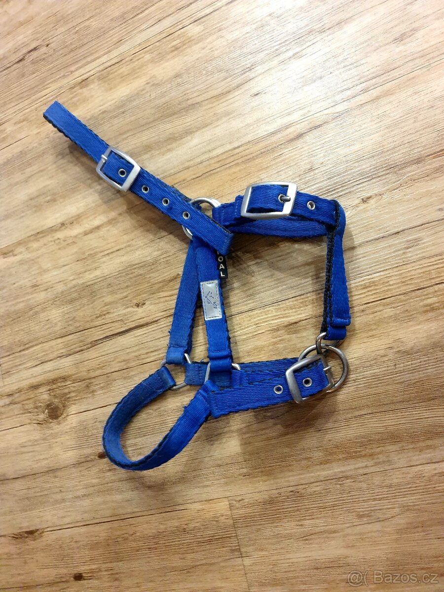 Ohlávka hříběcí FOAL