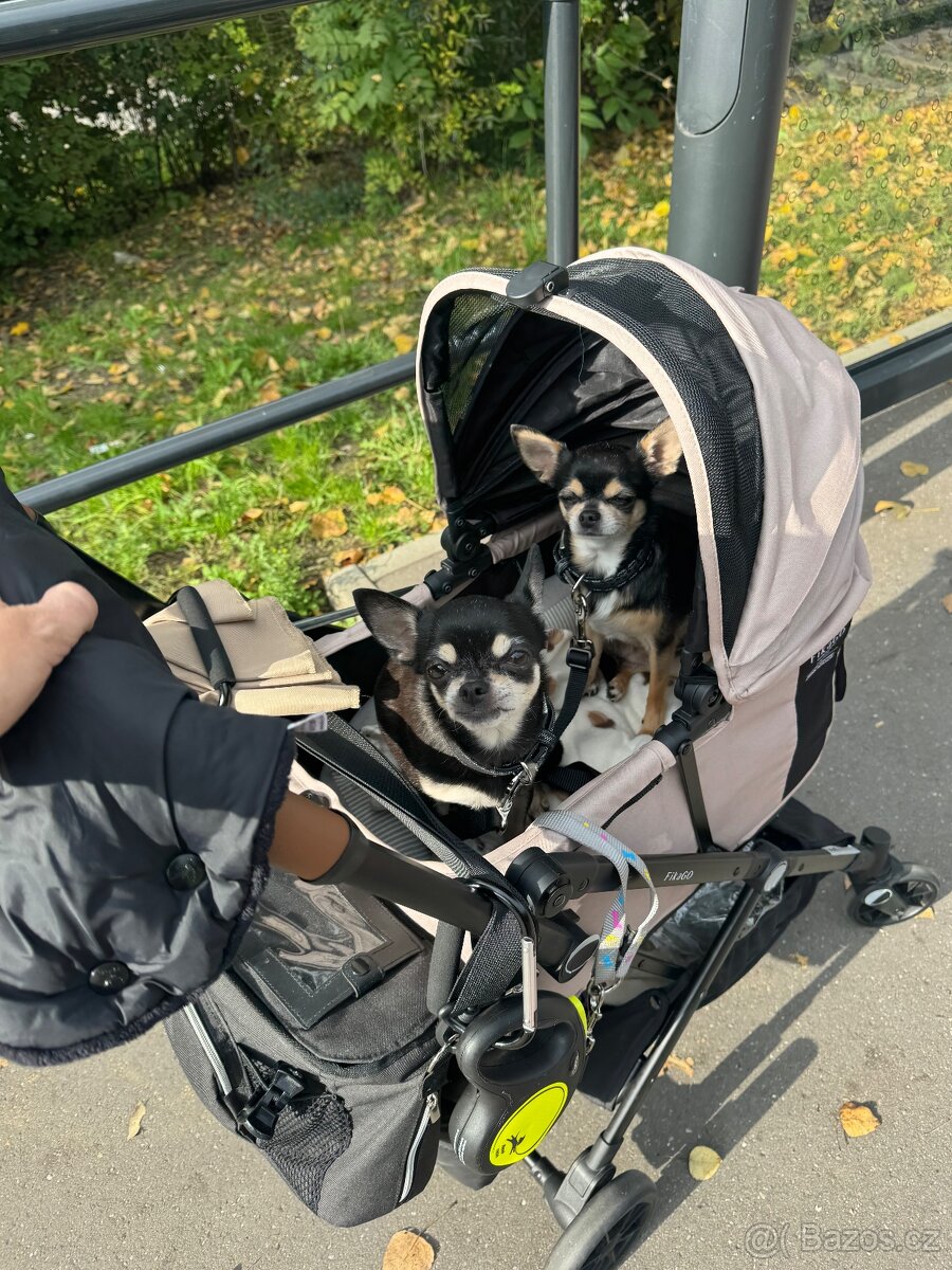 Kocarek pro pejsky psy Fikago