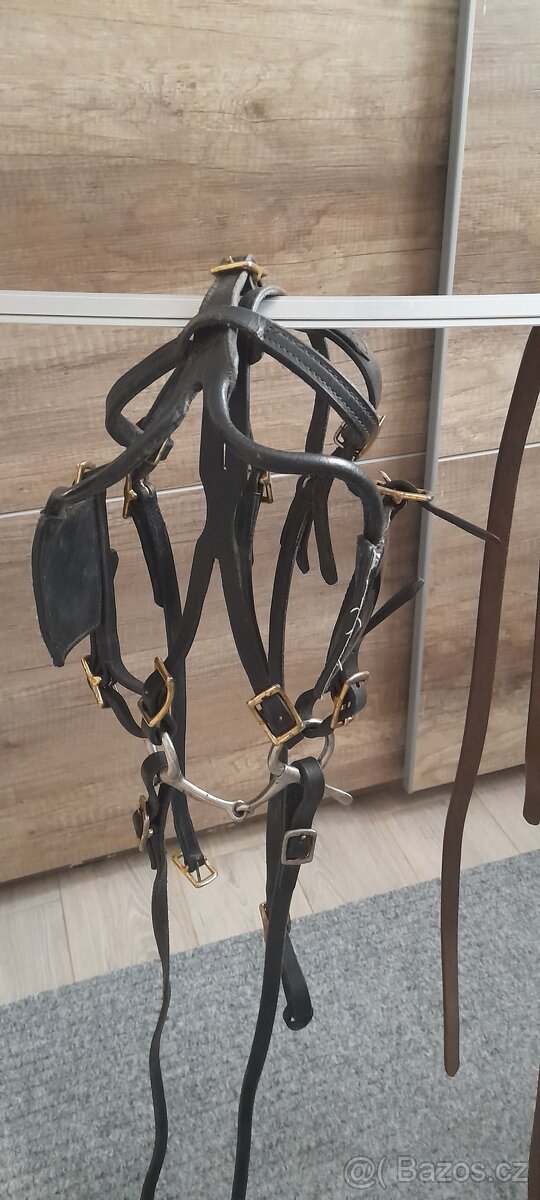 Postroj do sulky minihorse