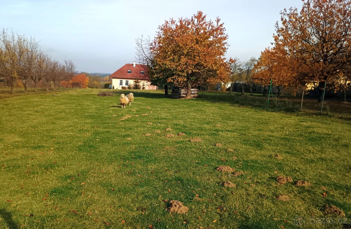 Stavební parcela, Lhenice na Prachaticku