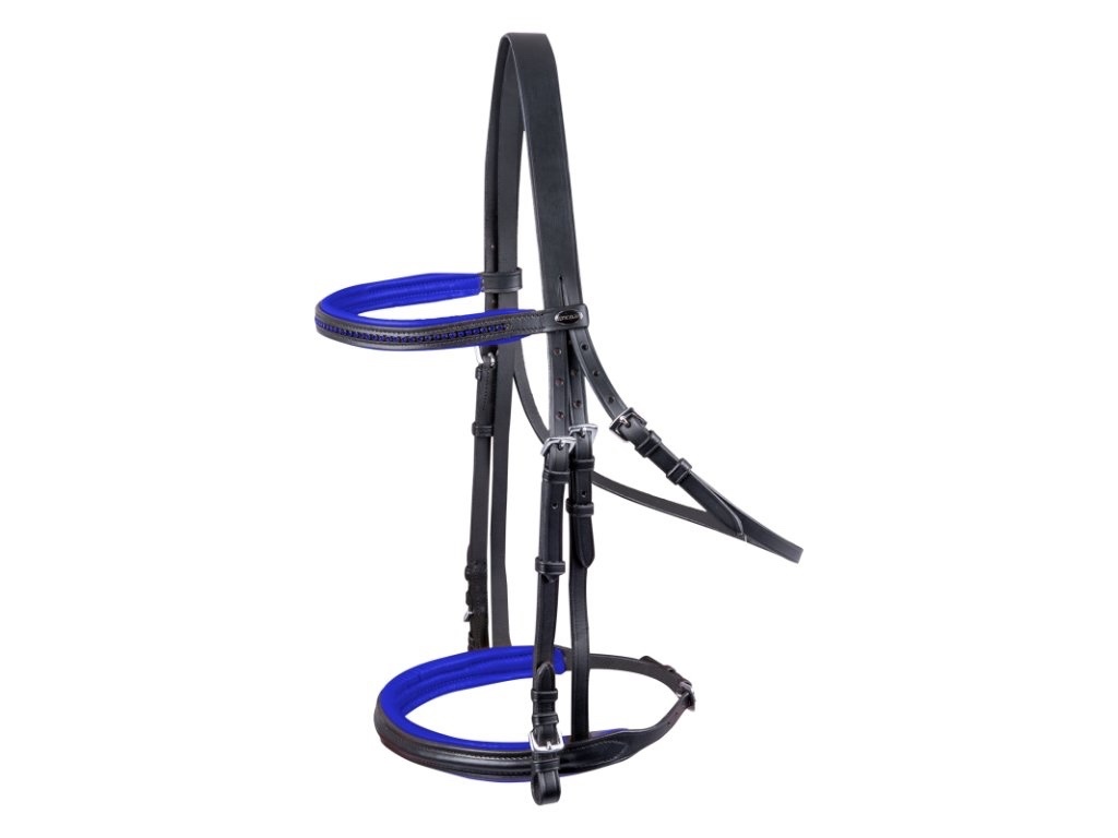 Anglicka uzda modrá