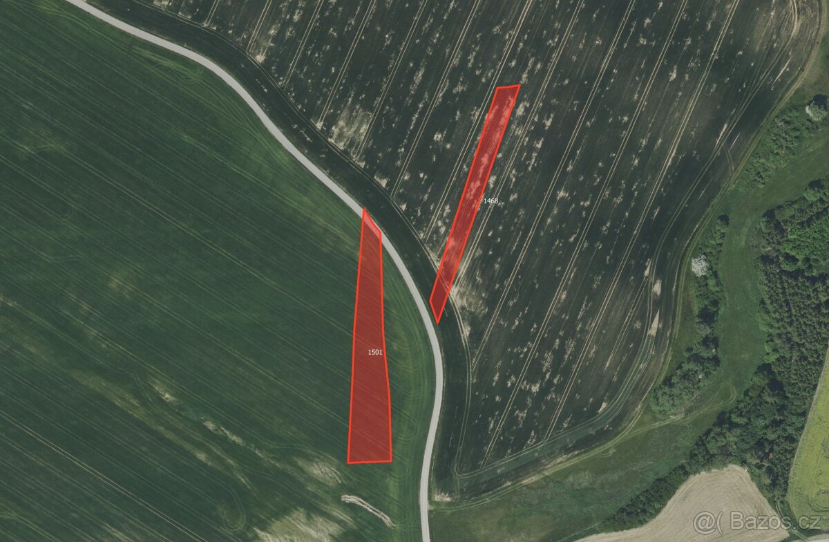 Zemědělská půda, prodej, Radošovice, Benešov