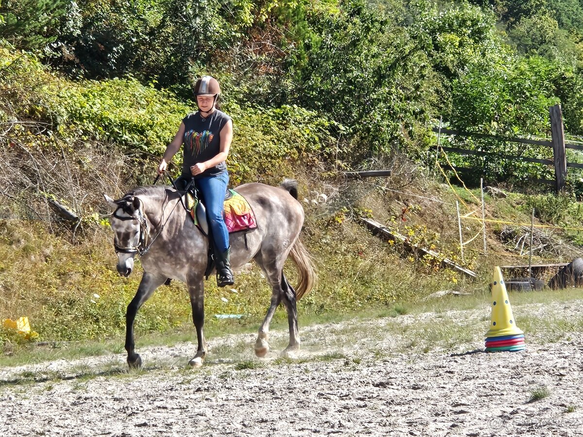 Valach do sportu i do rodiny