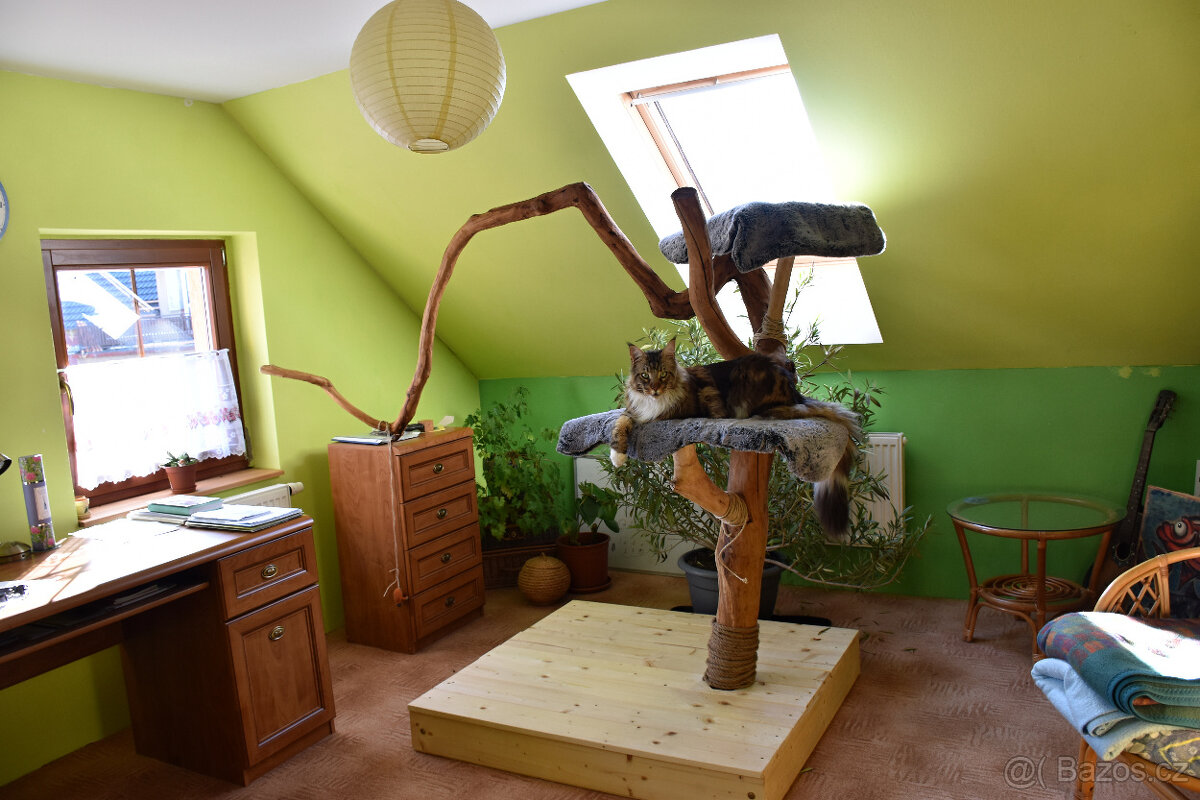 Originální kočičí strom, škrabadlo
