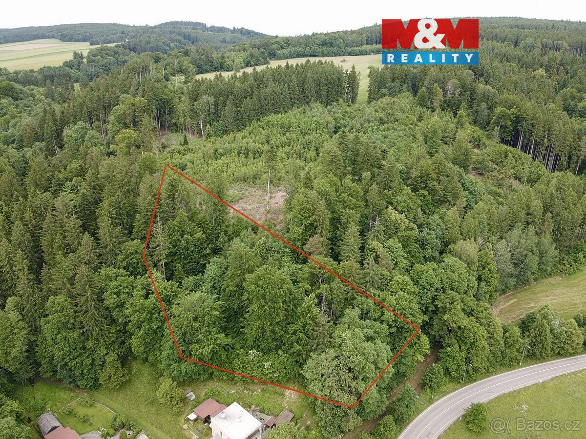 Prodej lesa, 2745 m², Ústí nad Orlicí