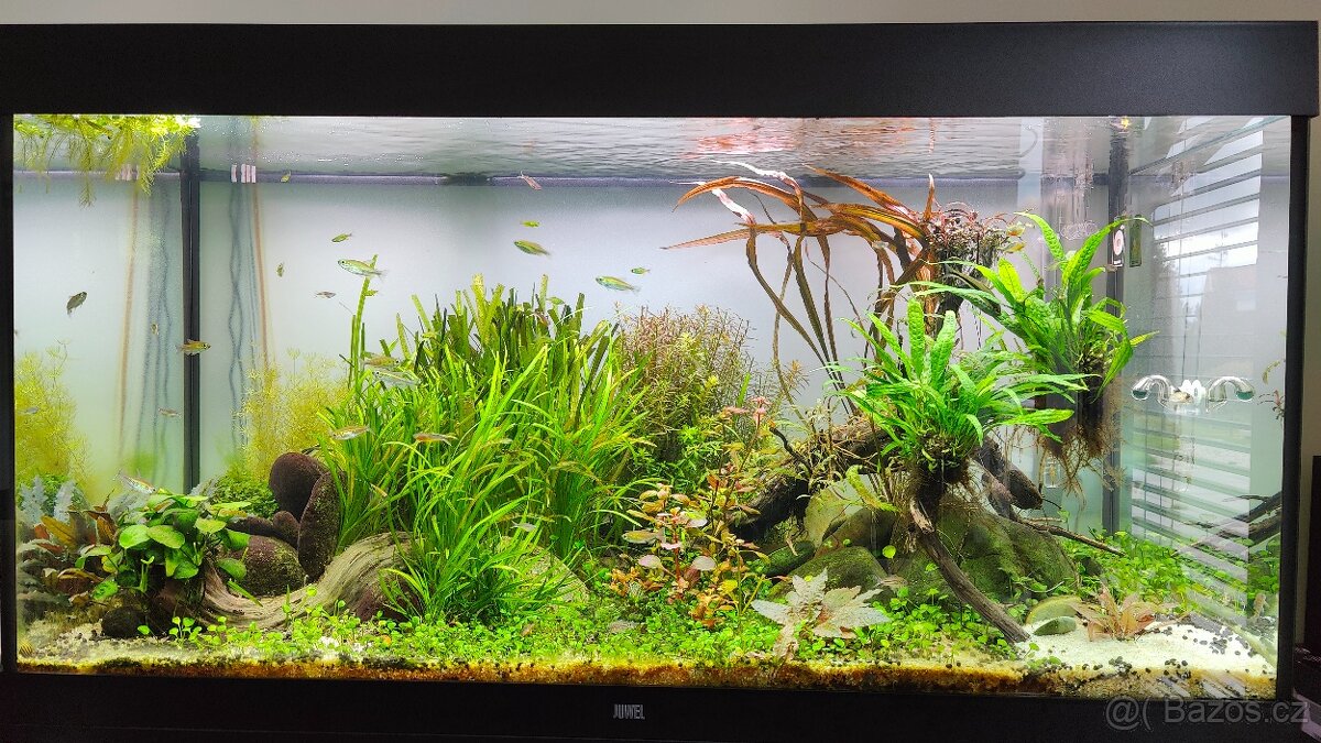 Akvárium Juwel Rio 350 + skříň Juwel SBX