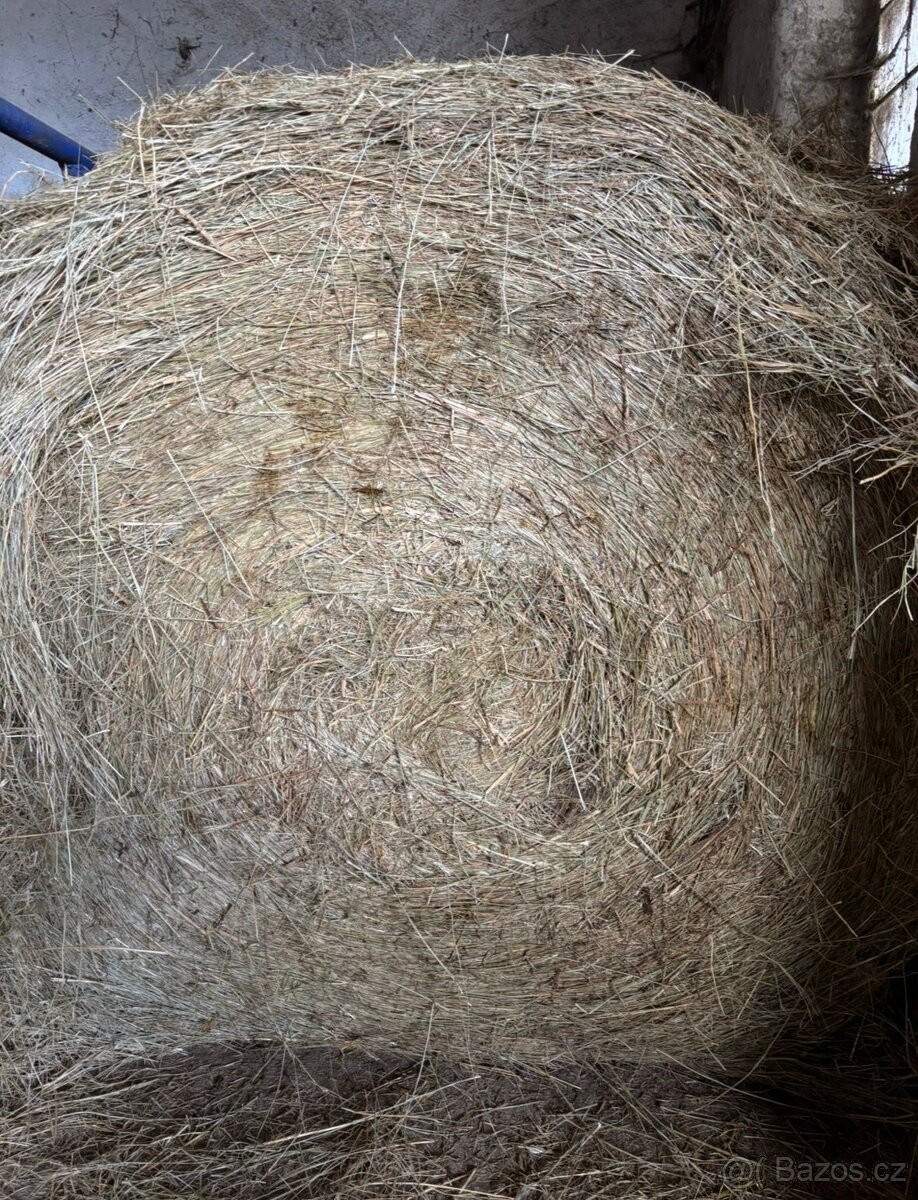 Balíky senáže travní 130cm