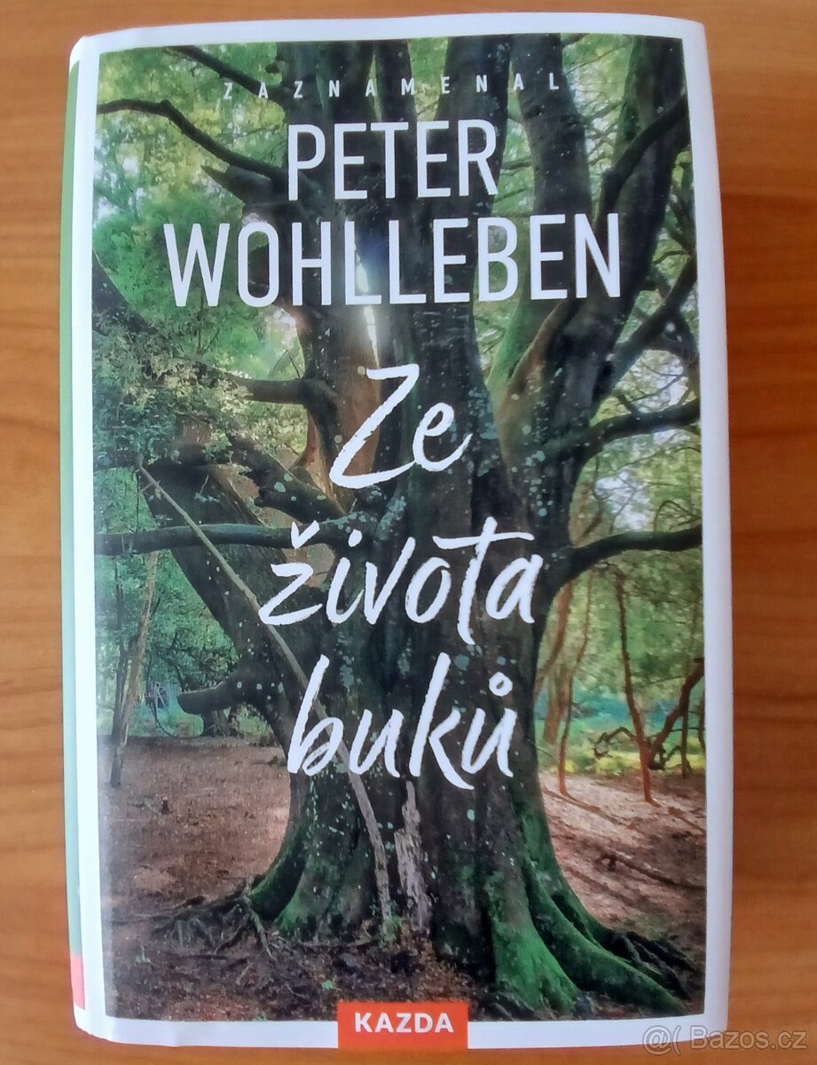 Ze života buků - Wohlleben Peter