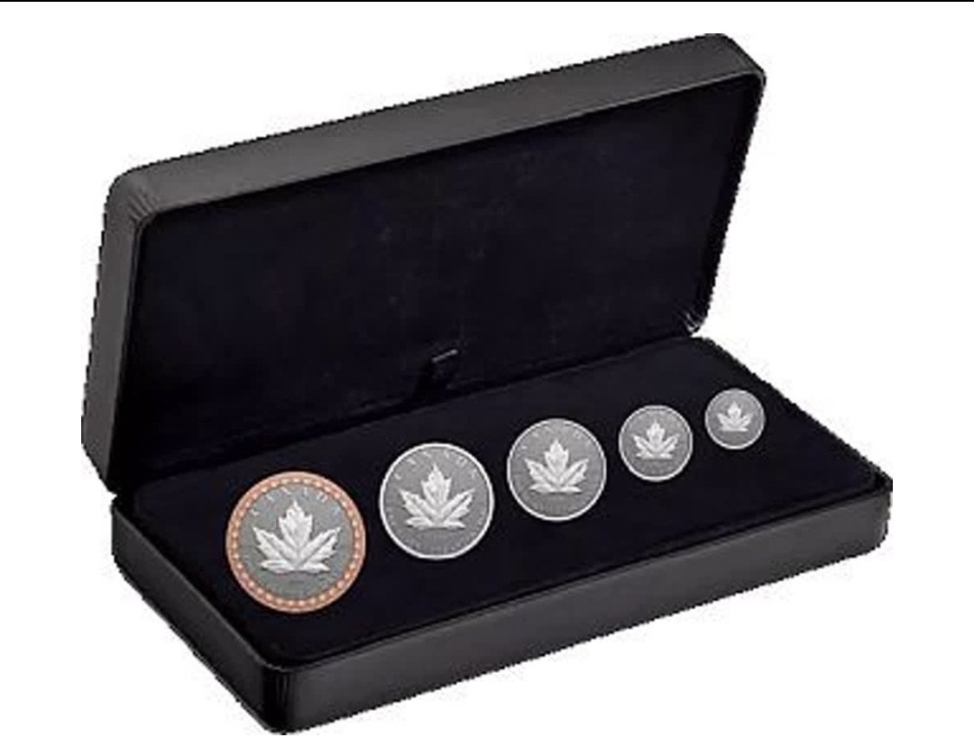 Kanada 2023 Maple Leaf Set(1/20/1/10,1/4,1/2,1oz)