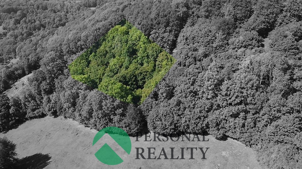 Prodej pozemku, 3543 m², Malečov - Čeřeniště, ev.č. 01303