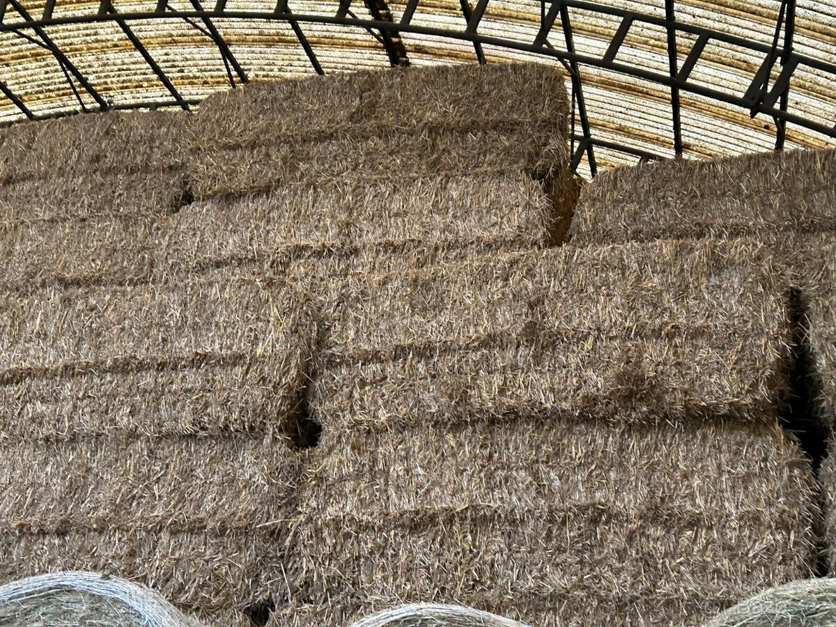 Pšeničná sláma - velké balíky 450 kg