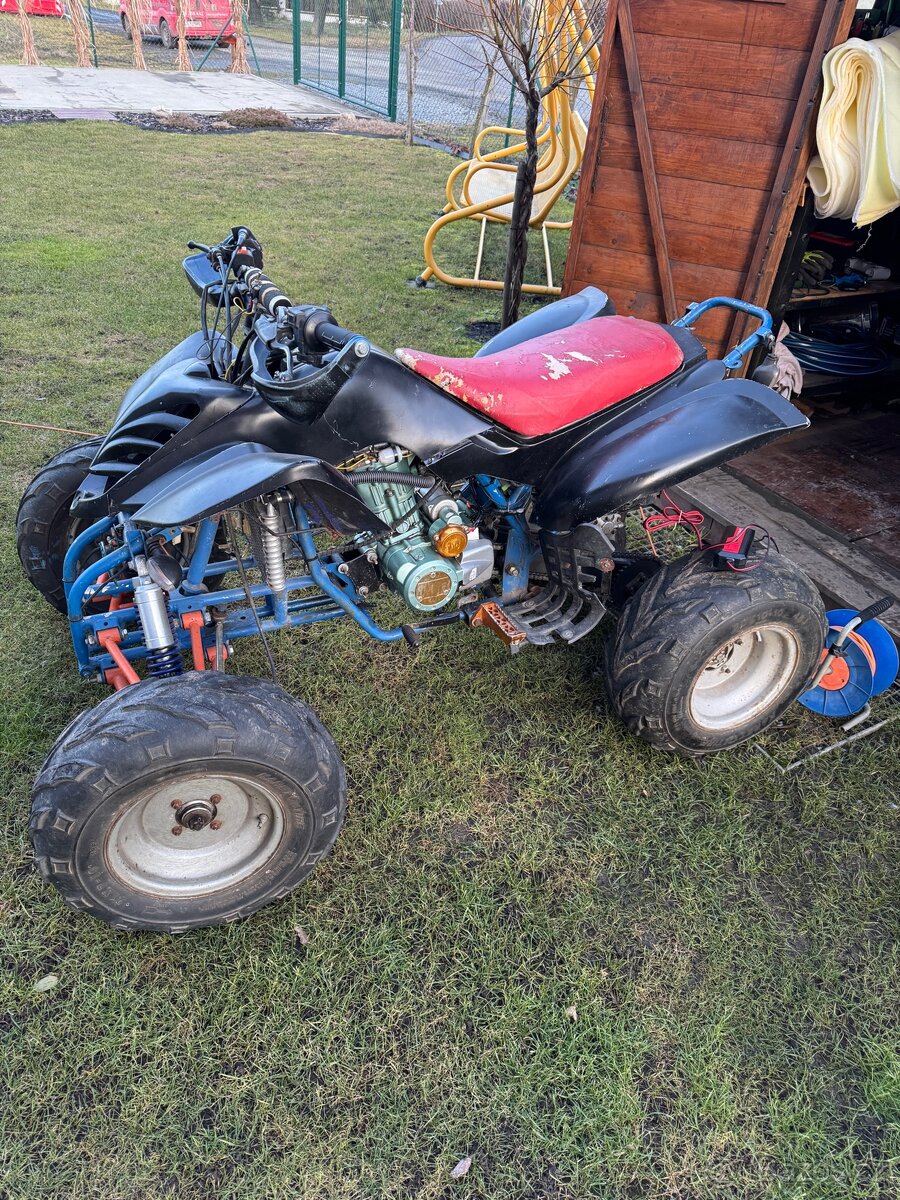 Bashan 250