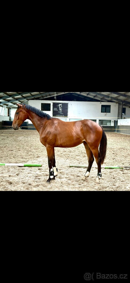 Na prodej TOP valach