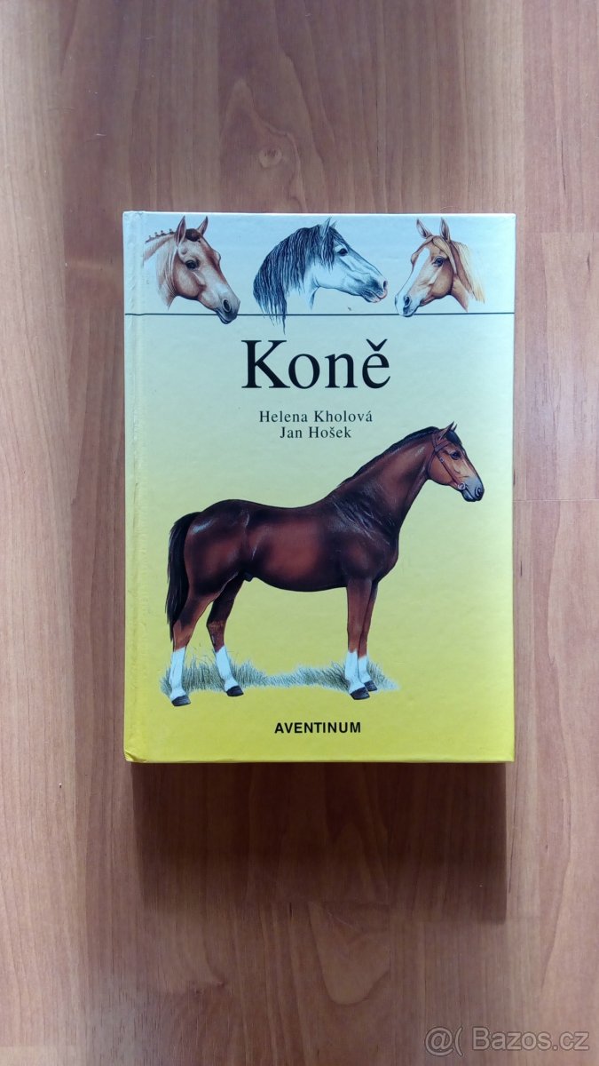 Koně - Kholová, Hošek