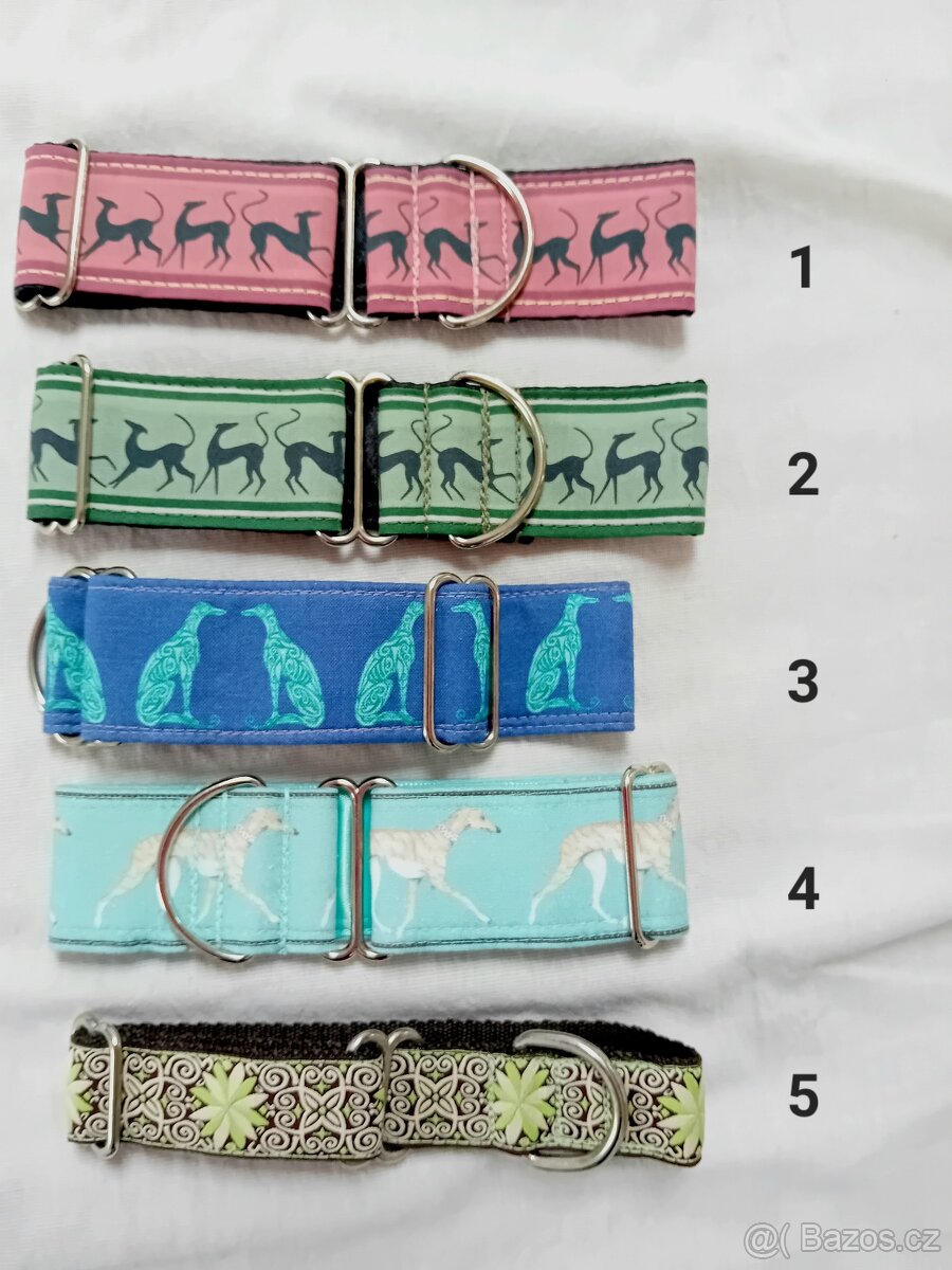 Obojek na chrta whippet