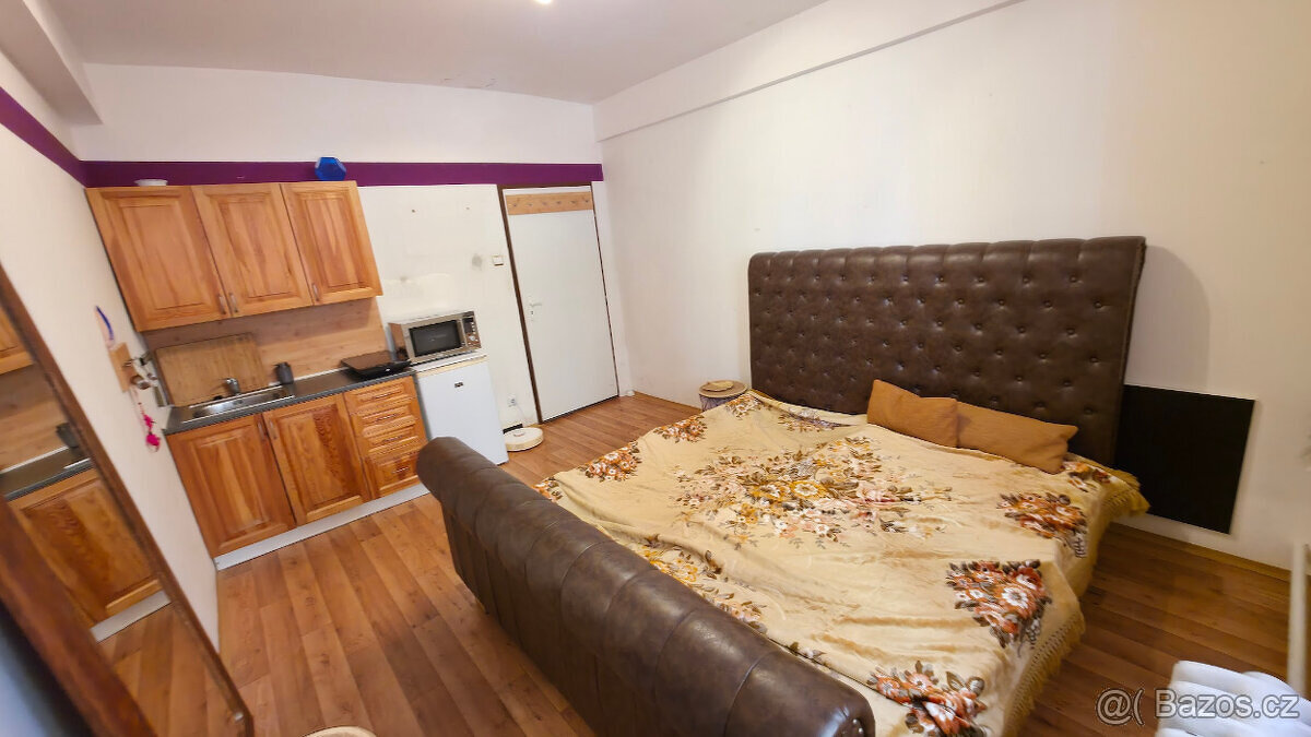 Pronájem pokoje 16 m² Praha 7 u metra Vltavská - [20.1. 2026