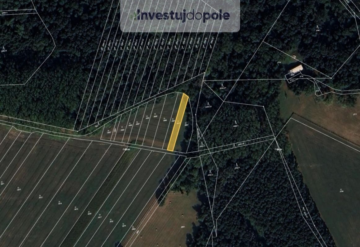 Prodej podílu 1/2 pole 571 m², Moravský Písek