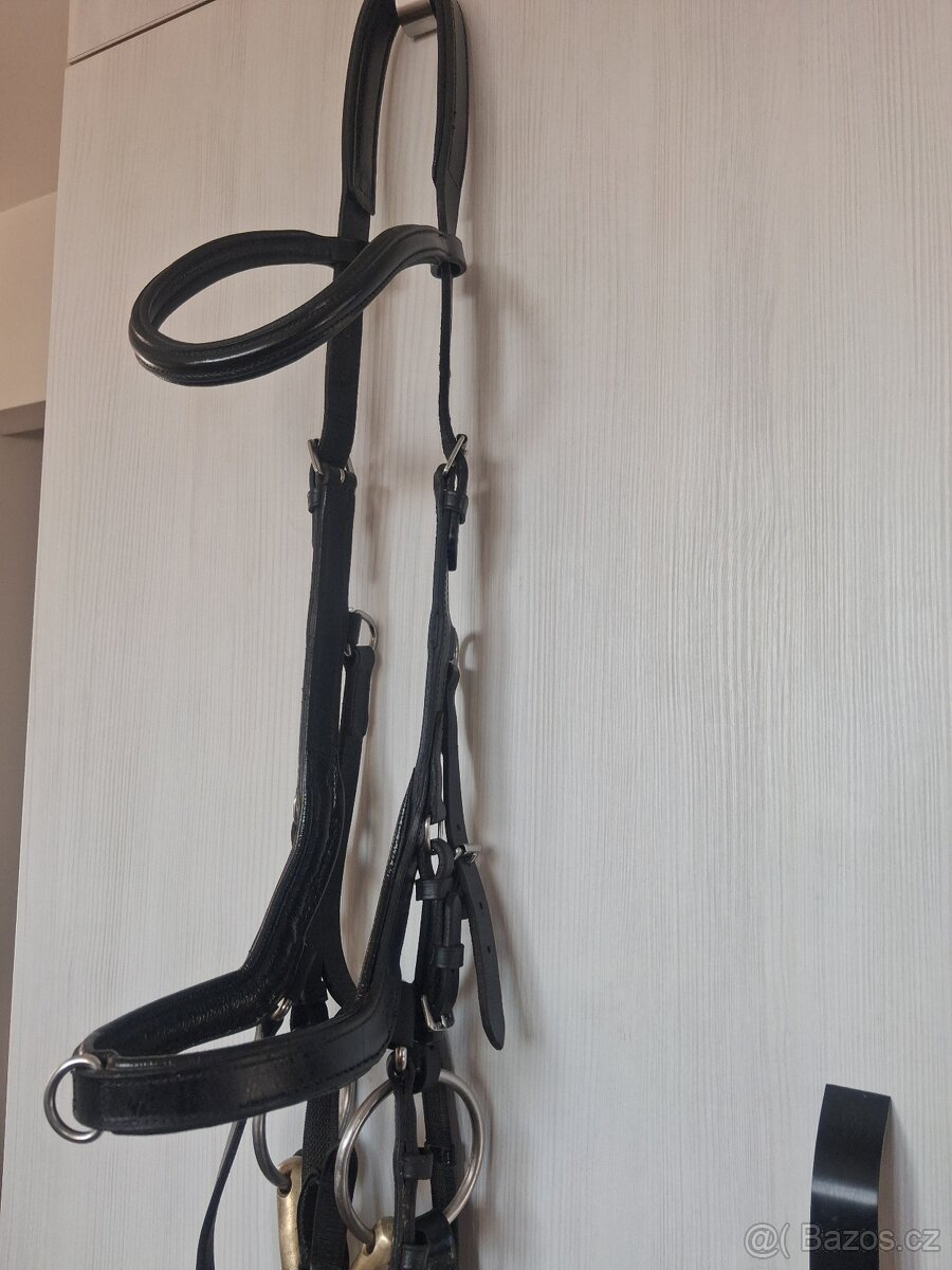 Anatomická uzdečka