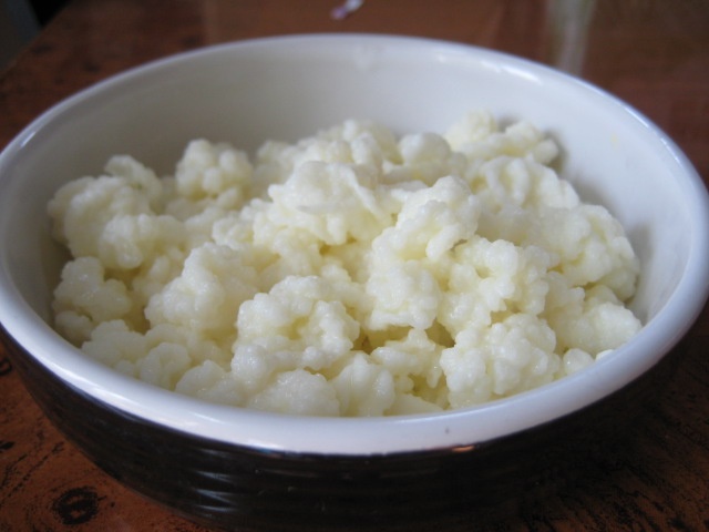 Tibetská kefírová houba