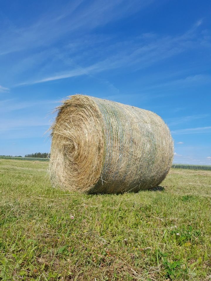 Balíky 120 cm, první seč 2025