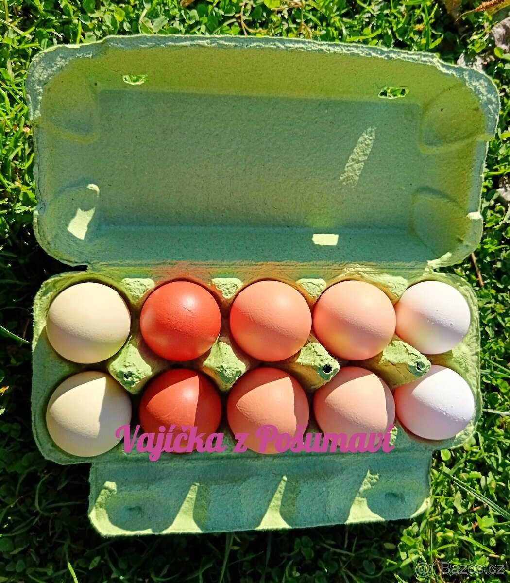 DOMÁCÍ VAJÍČKA / VEJCE