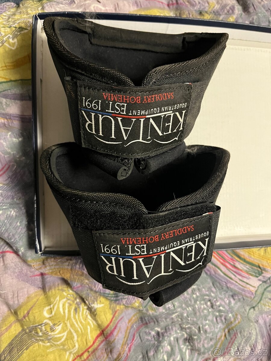 Zvony kentaur anatomické