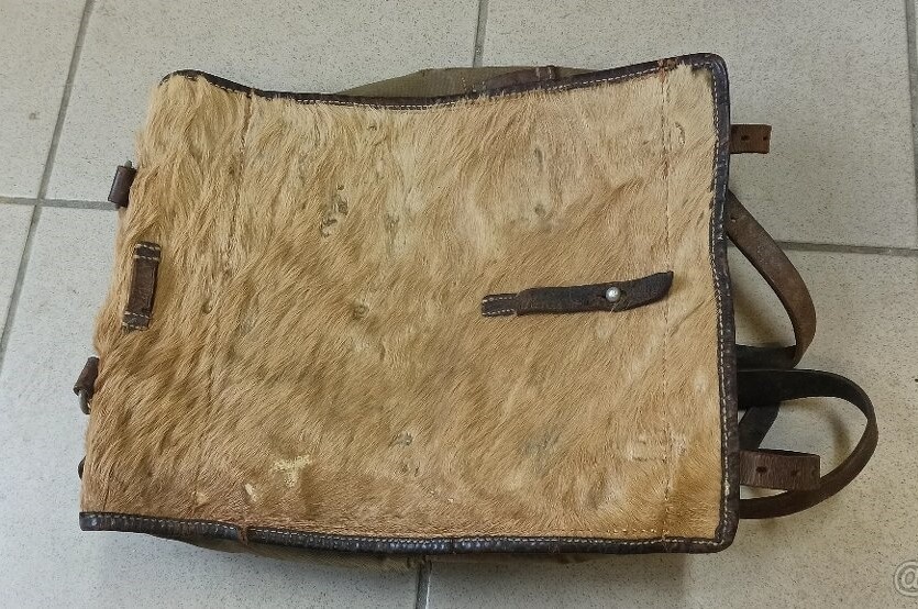 Batoh tele, teletina