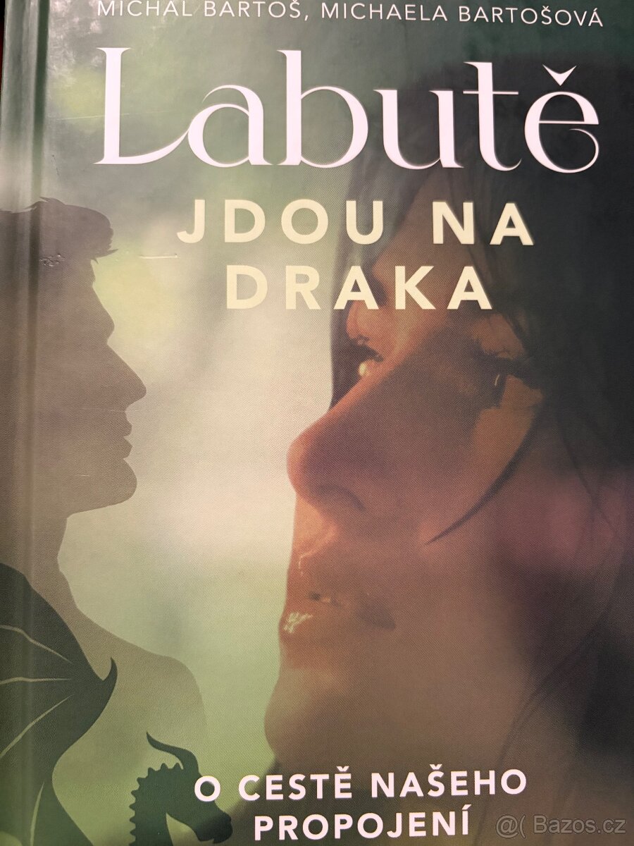 Labutě jdou na draka, Labutě na nádraží nepatří