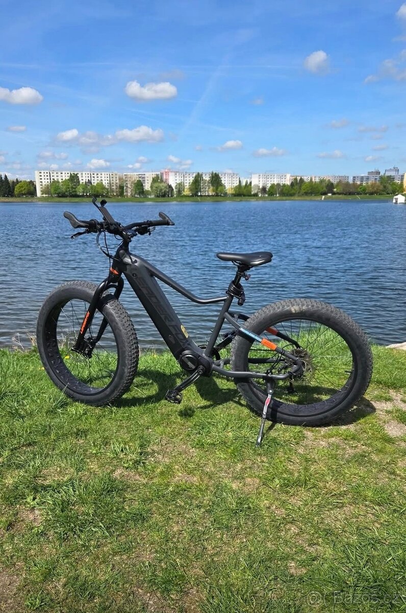 Leader Fox Braga Fatbike