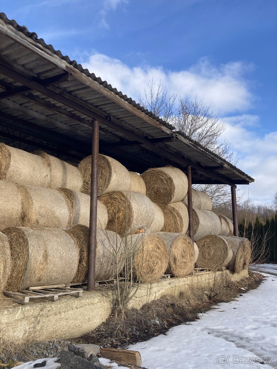 Prodám seno (2025) - kulaté balíky, Vysočina (zastřešené)
