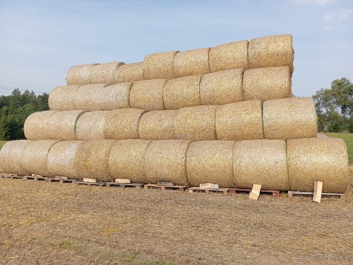 Prodám slámu