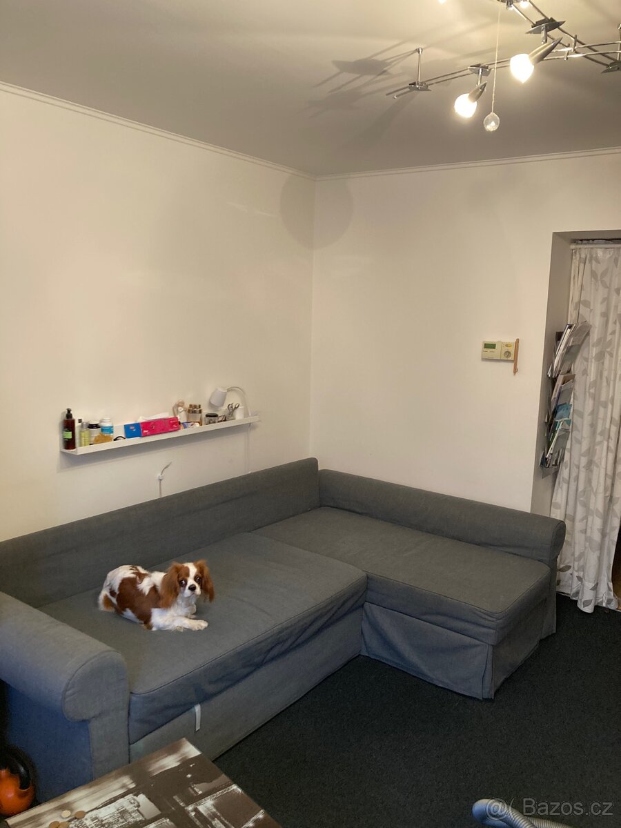 Rozkládací gauč (IKEA)tm.šedá