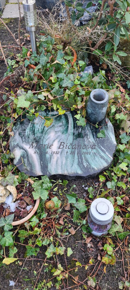 Hrobové místo Praha Olšany